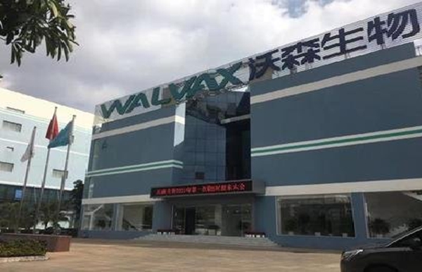 Walvax BeiJing